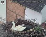 Capi_Dubne_20250522_194003.jpg
