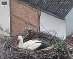 Capi_Dubne_20250522_195002.jpg