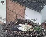 Capi_Dubne_20250522_195503.jpg
