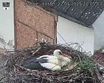 Capi_Dubne_20250522_200503.jpg
