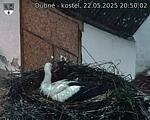 Capi_Dubne_20250522_205002.jpg