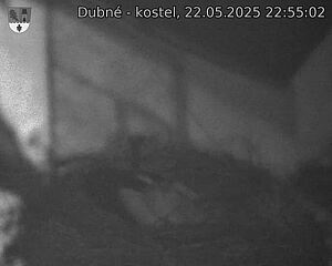 Capi_Dubne_20250522_225503.jpg (1350 x 1080)