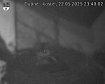 Capi_Dubne_20250522_234002.jpg