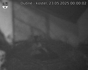 Capi_Dubne_20250523_000002.jpg (1350 x 1080)