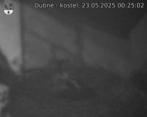 Capi_Dubne_20250523_002502.jpg (1350 x 1080)
