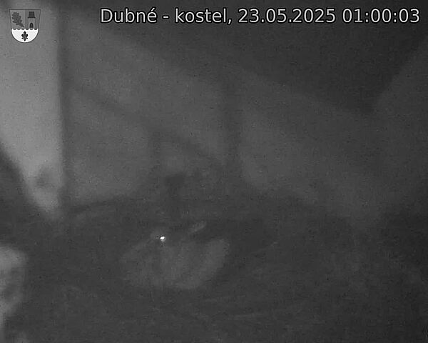 Capi_Dubne_20250523_010003.jpg (1350 x 1080)