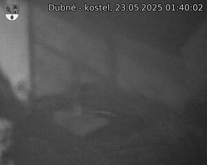 Capi_Dubne_20250523_014002.jpg (1350 x 1080)