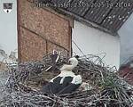 Capi_Dubne_20250523_142004.jpg
