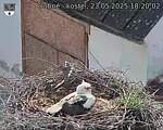 Capi_Dubne_20250523_182002.jpg