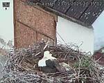 Capi_Dubne_20250523_203502.jpg