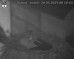 Capi_Dubne_20250524_001003.jpg