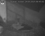 Capi_Dubne_20250524_004502.jpg