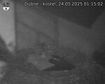 Capi_Dubne_20250524_011502.jpg