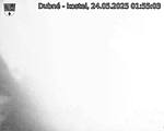 Capi_Dubne_20250524_015503.jpg