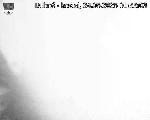 Capi_Dubne_20250524_015503.jpg (1350 x 1080)