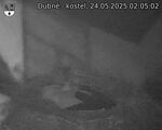 Capi_Dubne_20250524_020502.jpg