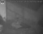 Capi_Dubne_20250524_021003.jpg