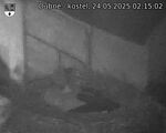 Capi_Dubne_20250524_021502.jpg