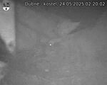 Capi_Dubne_20250524_022002.jpg