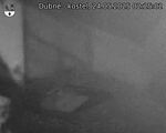 Capi_Dubne_20250524_022502.jpg