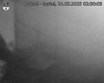 Capi_Dubne_20250524_023003.jpg