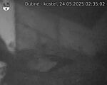 Capi_Dubne_20250524_023502.jpg
