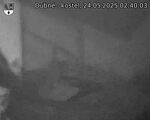 Capi_Dubne_20250524_024003.jpg