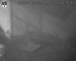 Capi_Dubne_20250524_025503.jpg