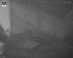 Capi_Dubne_20250524_030002.jpg