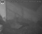 Capi_Dubne_20250524_032002.jpg