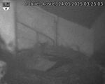 Capi_Dubne_20250524_032503.jpg
