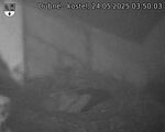 Capi_Dubne_20250524_035003.jpg