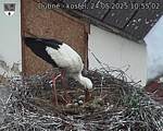 Capi_Dubne_20250524_105502.jpg