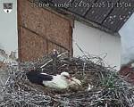 Capi_Dubne_20250524_111504.jpg