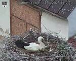 Capi_Dubne_20250524_112003.jpg