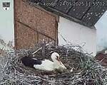 Capi_Dubne_20250524_115502.jpg