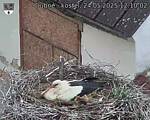 Capi_Dubne_20250524_121002.jpg