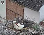 Capi_Dubne_20250524_122004.jpg