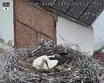 Capi_Dubne_20250524_122502.jpg
