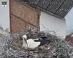 Capi_Dubne_20250524_123003.jpg