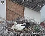 Capi_Dubne_20250524_123502.jpg