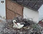 Capi_Dubne_20250524_124004.jpg