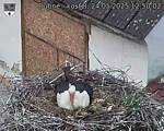 Capi_Dubne_20250524_125002.jpg