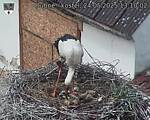 Capi_Dubne_20250524_131002.jpg