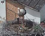 Capi_Dubne_20250524_132504.jpg