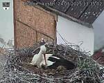 Capi_Dubne_20250524_133502.jpg