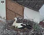 Capi_Dubne_20250524_135502.jpg