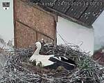 Capi_Dubne_20250524_140003.jpg