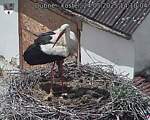Capi_Dubne_20250524_141004.jpg