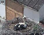Capi_Dubne_20250524_143504.jpg